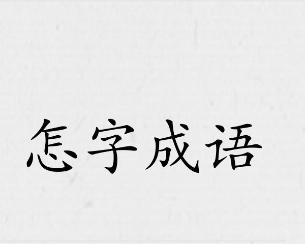 怎字成语