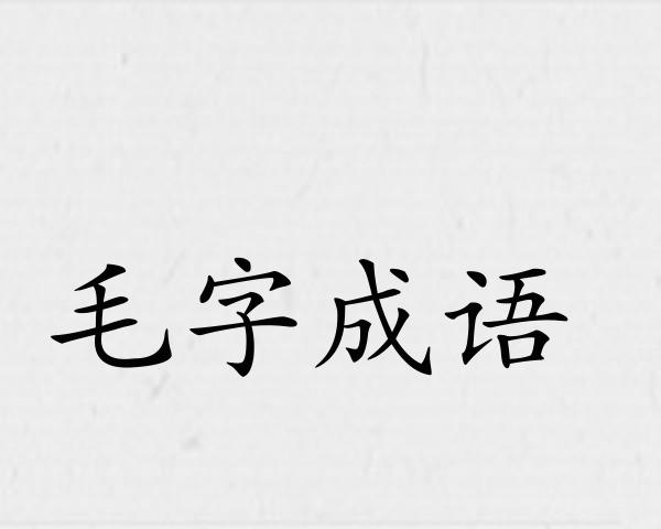 毛字成语