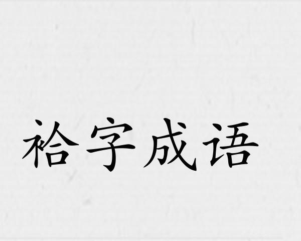 袷字成语