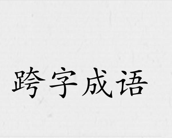 跨字成语