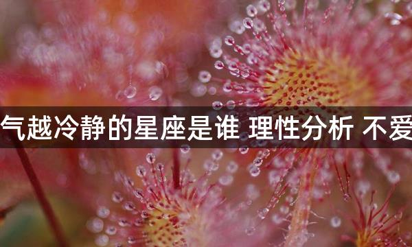 越生气越冷静的星座是谁 理性分析 不爱冲动