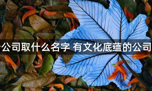 茶叶公司取什么名字 有文化底蕴的公司名字