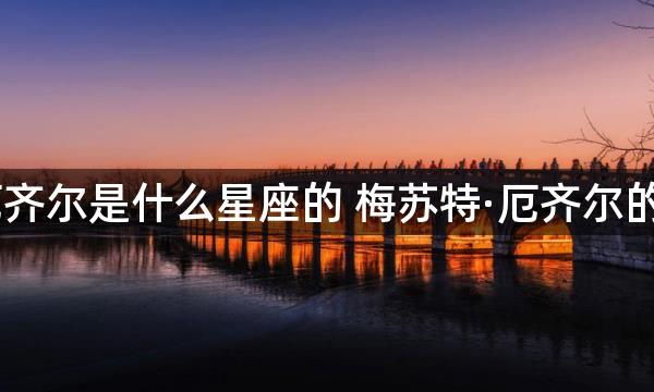 梅苏特·厄齐尔是什么星座的 梅苏特·厄齐尔的个人资料