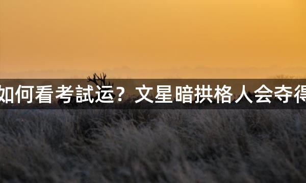 紫微斗数如何看考試运？文星暗拱格人会夺得高分数吗