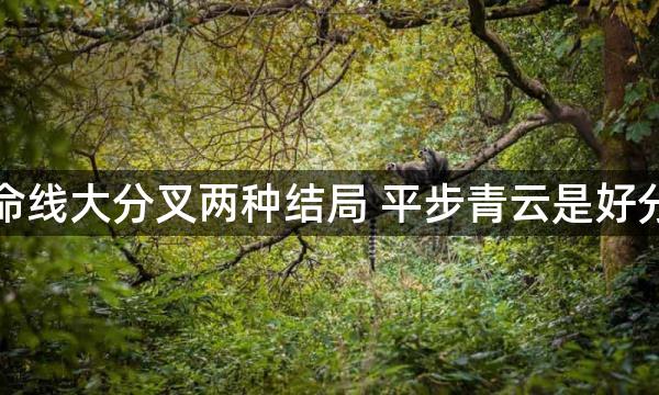 生命线大分叉两种结局 平步青云是好分叉