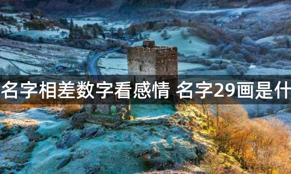 两个人名字相差数字看感情 名字29画是什么命运