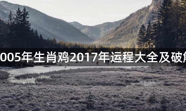 2005年生肖鸡2017年运程大全及破解