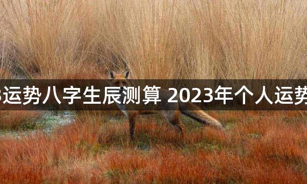 2023运势八字生辰测算 2023年个人运势分析