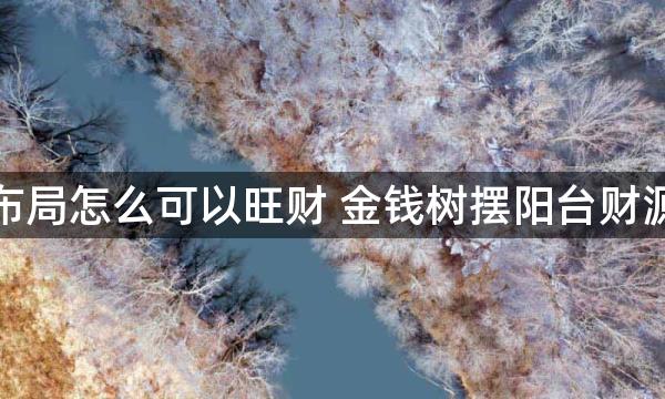 風水布局怎么可以旺财 金钱树摆阳台财源滚滚