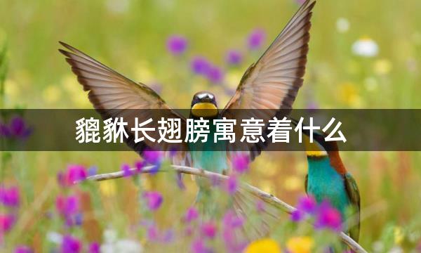 貔貅长翅膀寓意着什么