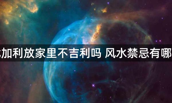 尤加利放家里不吉利吗 风水禁忌有哪些