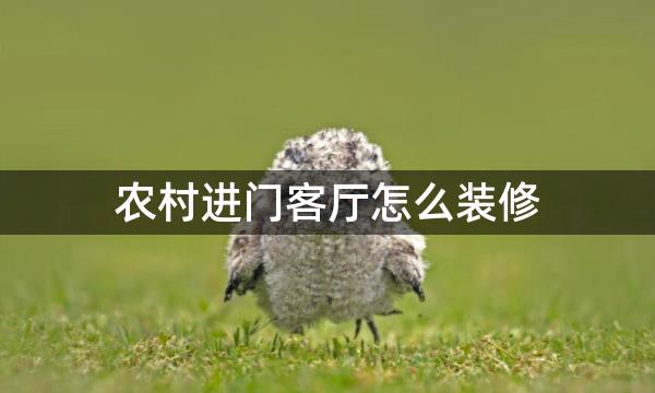 农村进门客厅怎么装修