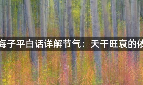 渊海子平白话详解节气：天干旺衰的依据