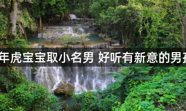 2022年虎宝宝取小名男 好听有新意的男孩小名