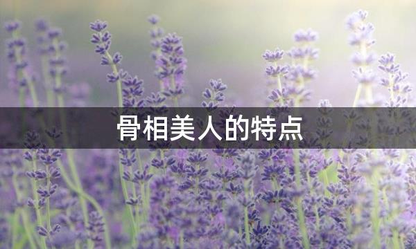 骨相美人的特点