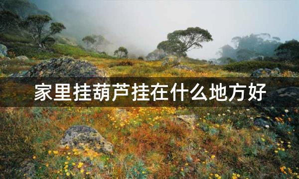 家里挂葫芦挂在什么地方好