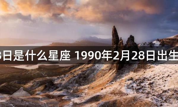 1990年2月28日是什么星座 1990年2月28日出生的人星座命运