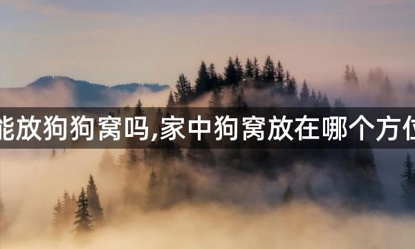 财位上能放狗狗窝吗,家中狗窝放在哪个方位最理想