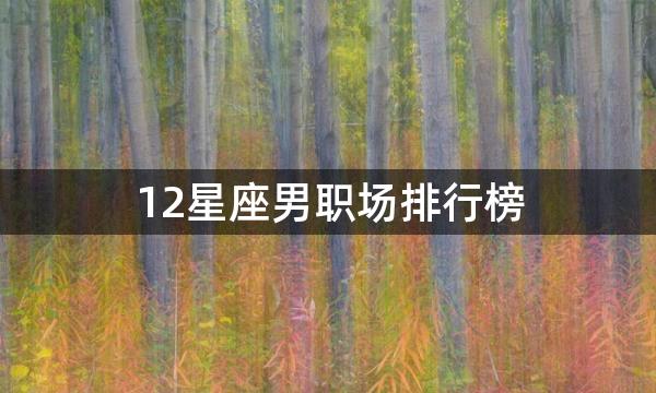 12星座男职场排行榜