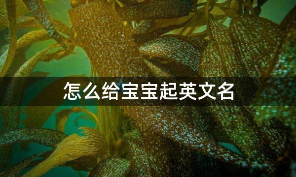 怎么给宝宝起英文名