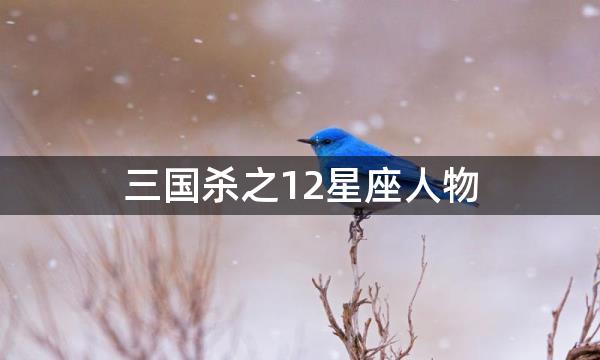 三国杀之12星座人物