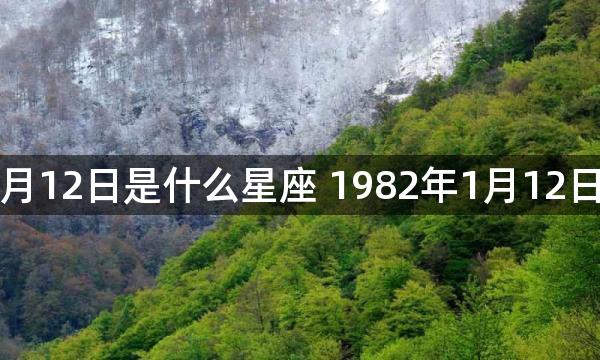 1982年1月12日是什么星座 1982年1月12日是啥星座