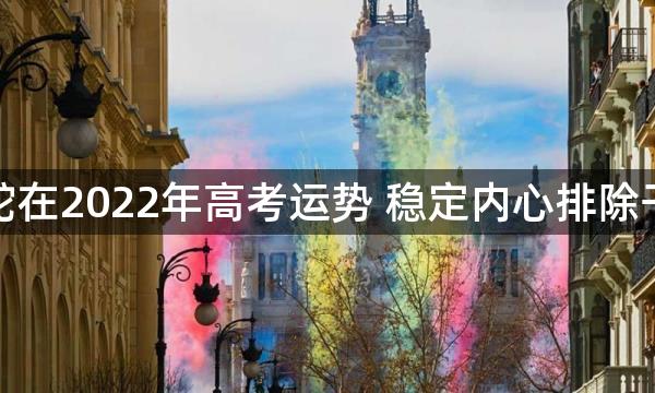 属蛇在2022年高考运势 稳定内心排除干扰