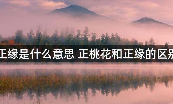 正缘是什么意思 正桃花和正缘的区别