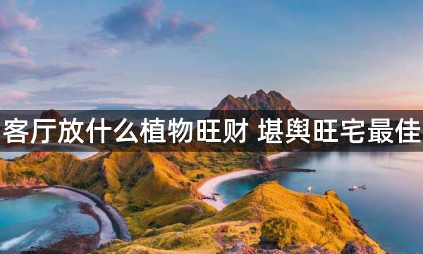 客厅放什么植物旺财 堪舆旺宅最佳