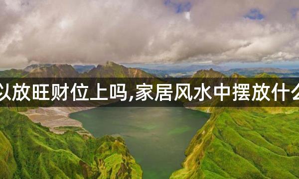 鸭掌木可以放旺财位上吗,家居风水中摆放什么可以旺财