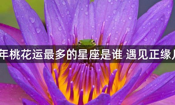 2023年桃花运最多的星座是谁 遇见正缘几率高