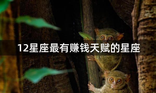 12星座最有赚钱天赋的星座