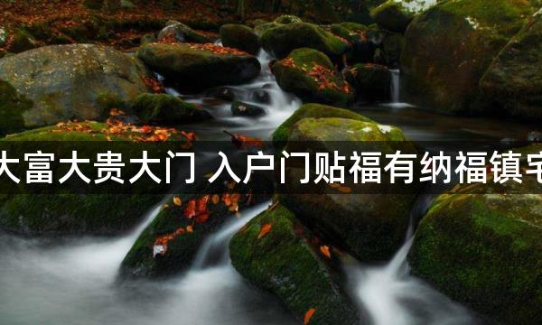 阳宅大富大贵大门 入户门贴福有纳福镇宅功效