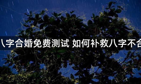 八字合婚免费测试 如何补救八字不合