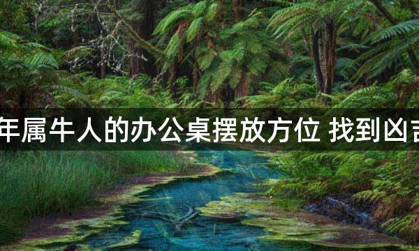 2022年属牛人的办公桌摆放方位 找到凶吉方位