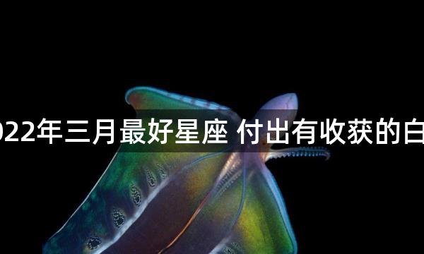 2022年三月最好星座 付出有收获的白羊