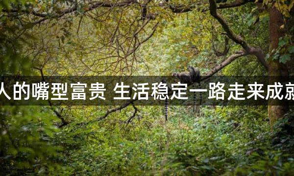 男人的嘴型富贵 生活稳定一路走来成就多