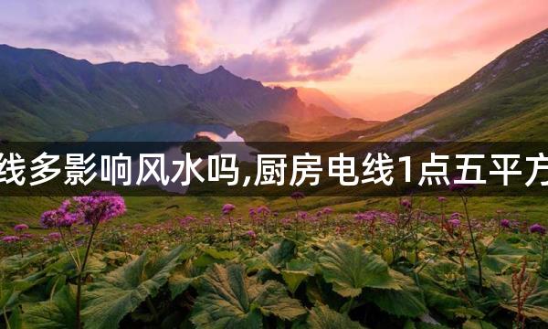 厨房电线多影响风水吗,厨房电线1点五平方行不行