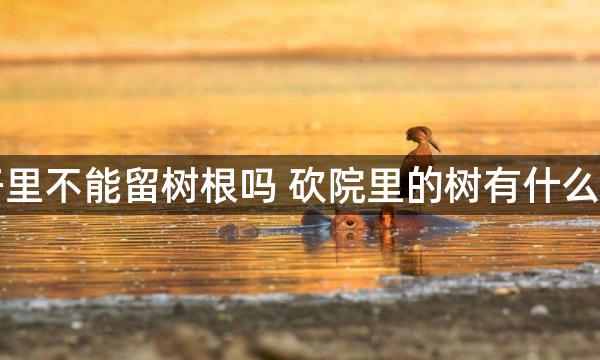 院子里不能留树根吗 砍院里的树有什么忌讳