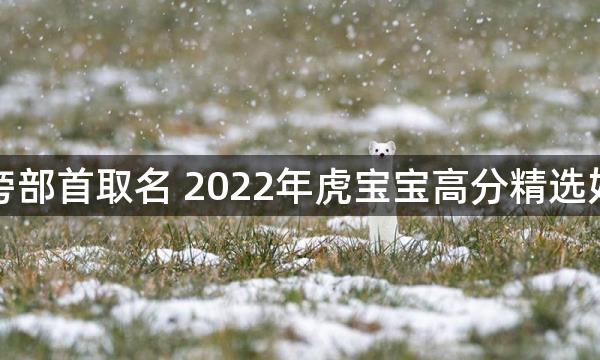 偏旁部首取名 2022年虎宝宝高分精选好名