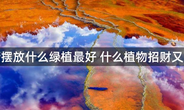 客厅摆放什么绿植最好 什么植物招财又好养