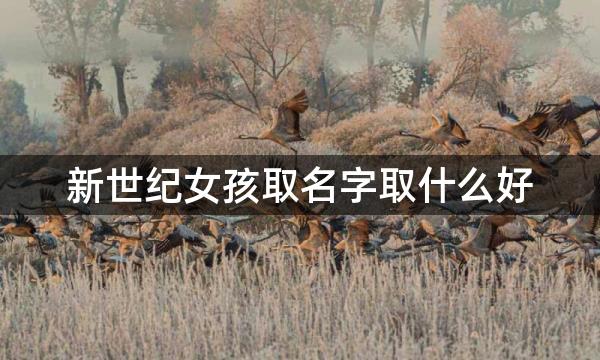 新世纪女孩取名字取什么好