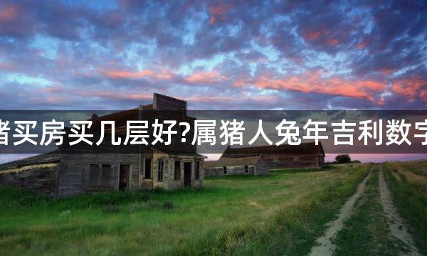 2023年生肖猪买房买几层好?属猪人兔年吉利数字楼层是几层？