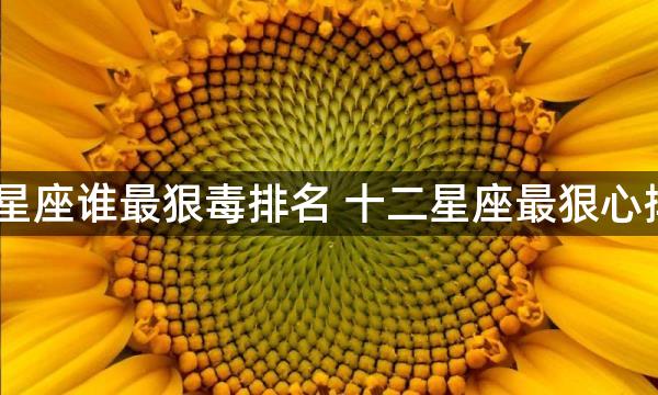 12星座谁最狠毒排名 十二星座最狠心排名