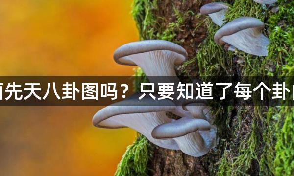 你会画先天八卦图吗？只要知道了每个卦的方位，画起来其实很简单