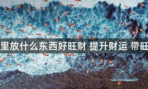 卧室里放什么东西好旺财 提升财运 带旺运势