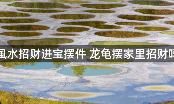 風水招财进宝摆件 龙龟摆家里招财吗