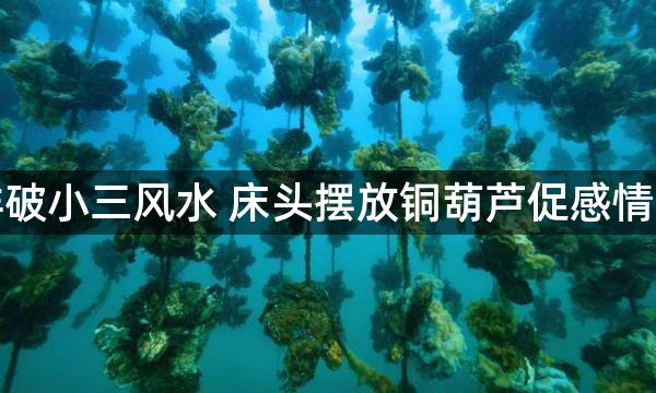 怎样破小三风水 床头摆放铜葫芦促感情和睦