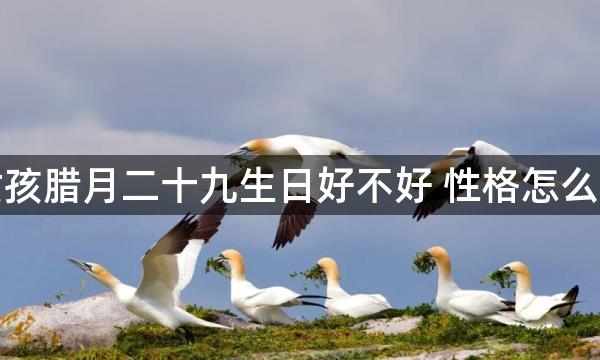 女孩腊月二十九生日好不好 性格怎么样