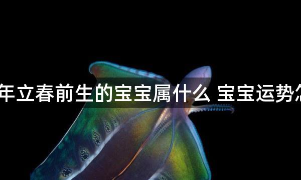 2022年立春前生的宝宝属什么 宝宝运势怎么样